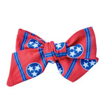 Pinwheel Bow - Only Ten I See | Nashville Bow Co. - Classic Hair Bows, Bow Ties, Basket Bows, Pacifier Clips, Wreath Sashes, Swaddle Bows. Classic Southern Charm.